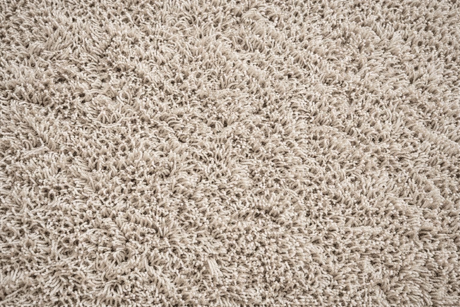 The Frieze Carpeting