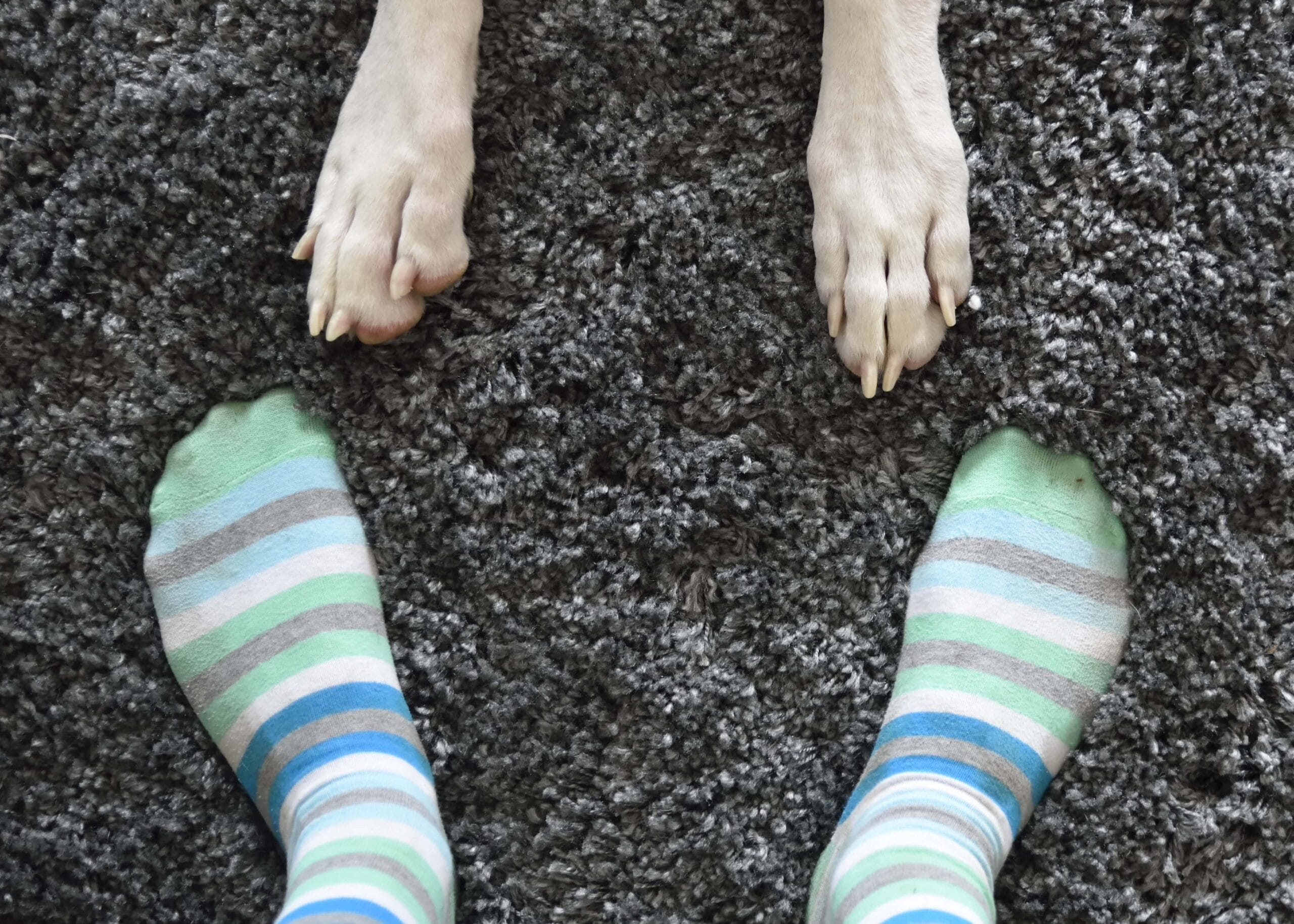 Kid-Friendly Flooring